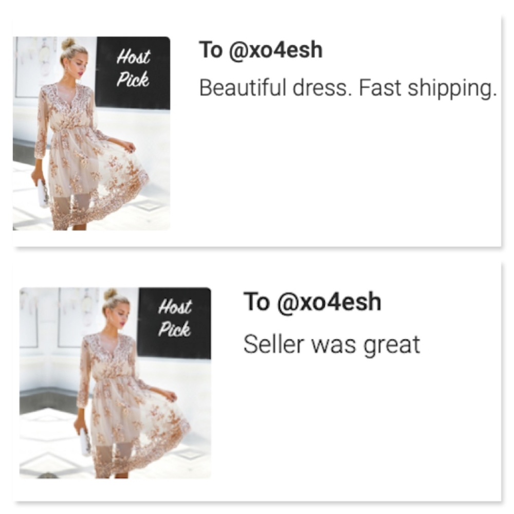 Tan Midi V-Neck Mesh Dress with Rosegold Sequins - Picture 8 of 13